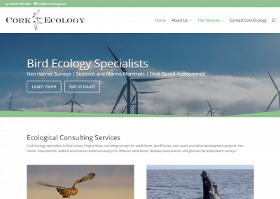Website Redesign for West Cork based ecological consulting business