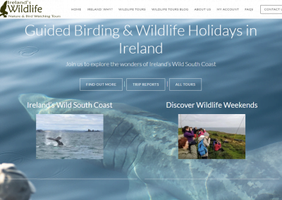 Ireland's Wildlife Tours